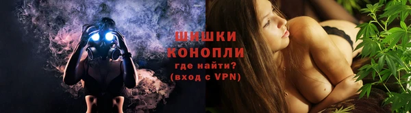 ПСИЛОЦИБИНОВЫЕ ГРИБЫ Лихославль