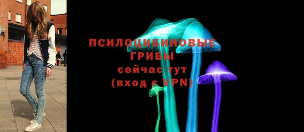 ПСИЛОЦИБИНОВЫЕ ГРИБЫ Лихославль