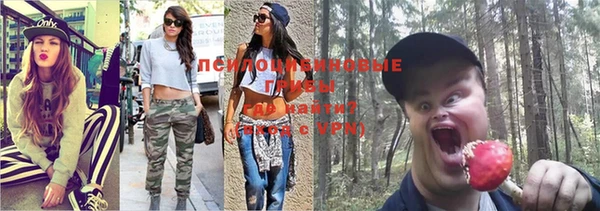 apvp Кулебаки
