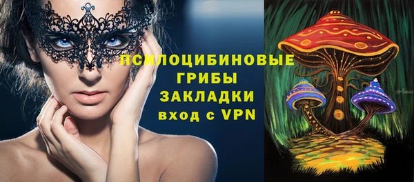 винт Лабытнанги