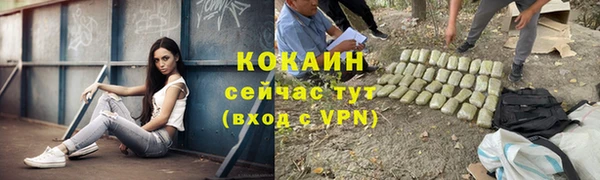 винт Лабытнанги