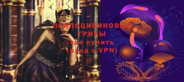винт Лабытнанги