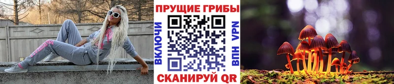 ссылка на мегу   где найти наркотики  Углич  Псилоцибиновые грибы Cubensis 