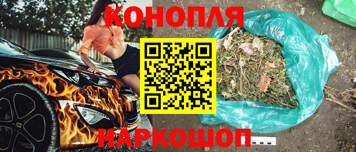 Бошки Шишки планчик  Вход с VPN  Углич  Бошки марихуана сатива  Бошки Шишки White Widow  Конопля SATIVA & INDICA 